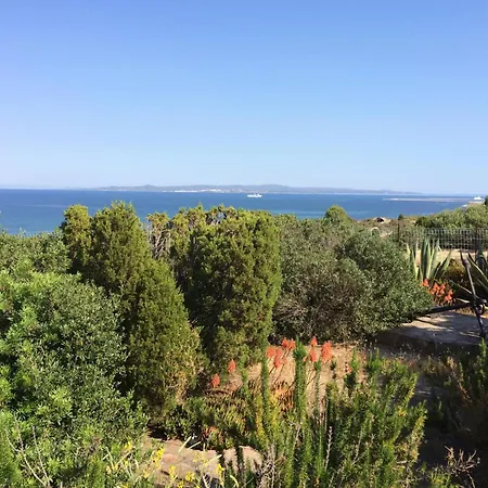 Appartamento Palme House - Carloforte (Isola di San Pietro)