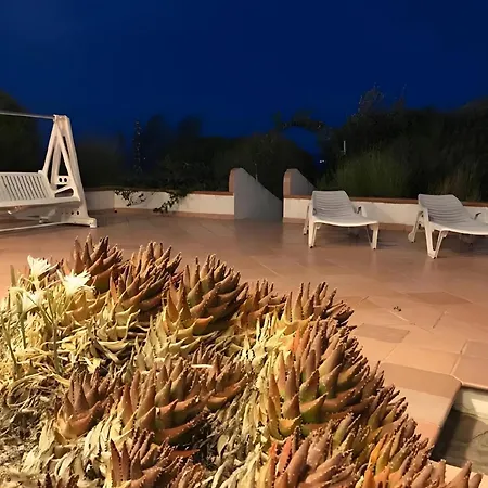 Palme House - *