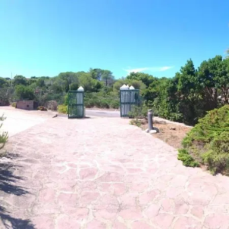 Appartamento Palme House - *
