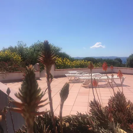 Appartamento Palme House - *