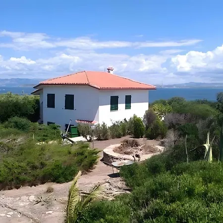 Palme House - * Carloforte (Isola di San Pietro)